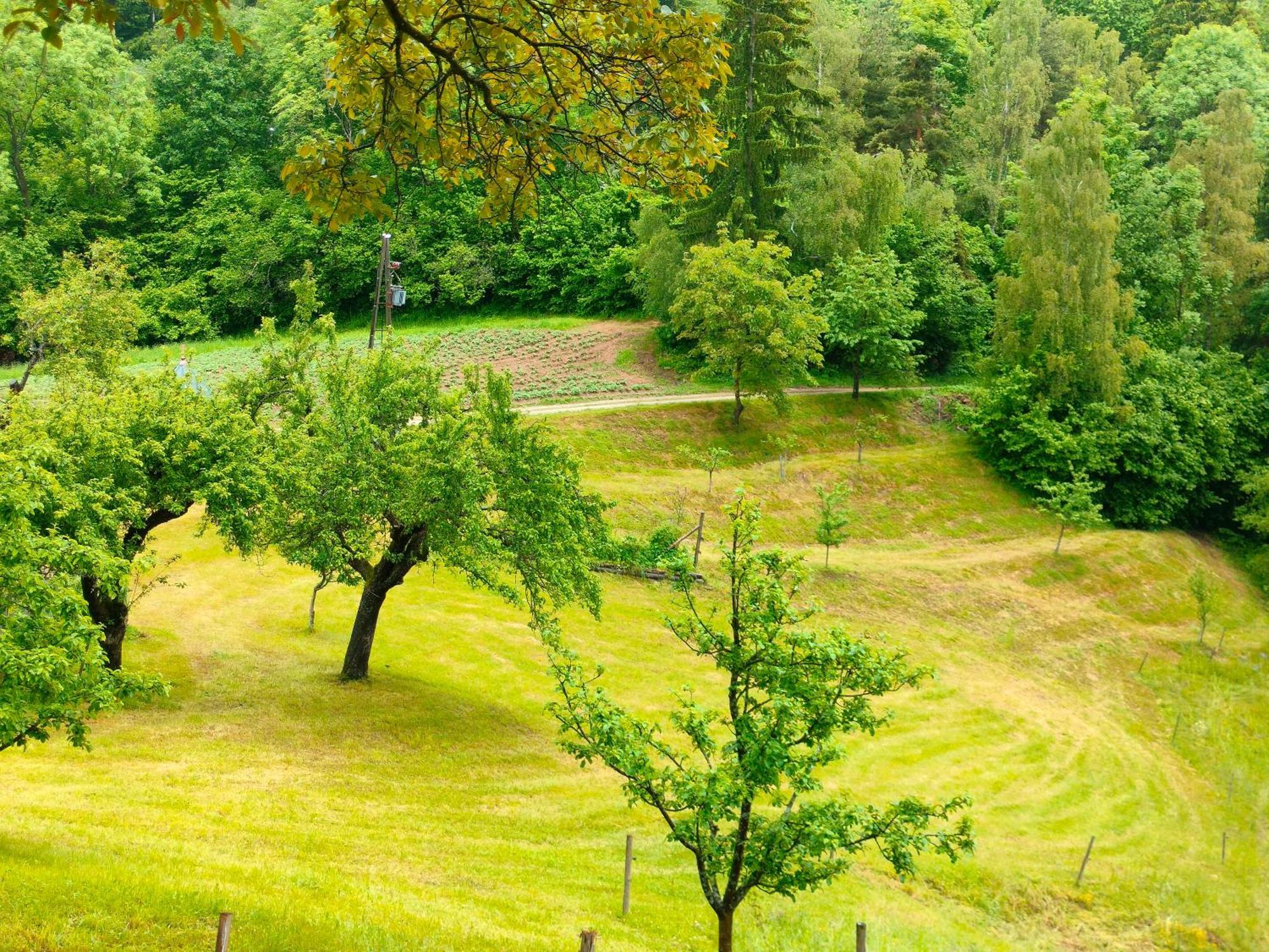 Apartments Organic Tourist Farm Gradisnik Prevalje Экстерьер фото