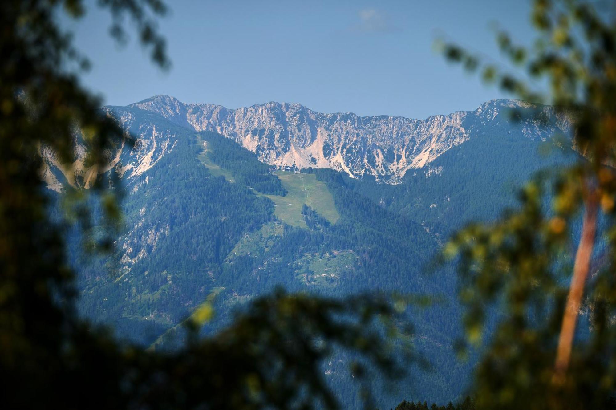 Apartments Organic Tourist Farm Gradisnik Prevalje Экстерьер фото