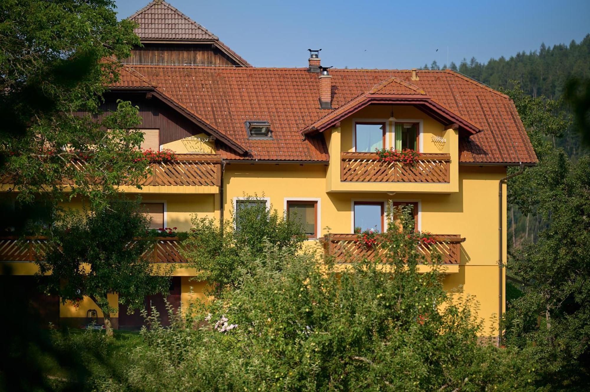 Apartments Organic Tourist Farm Gradisnik Prevalje Экстерьер фото