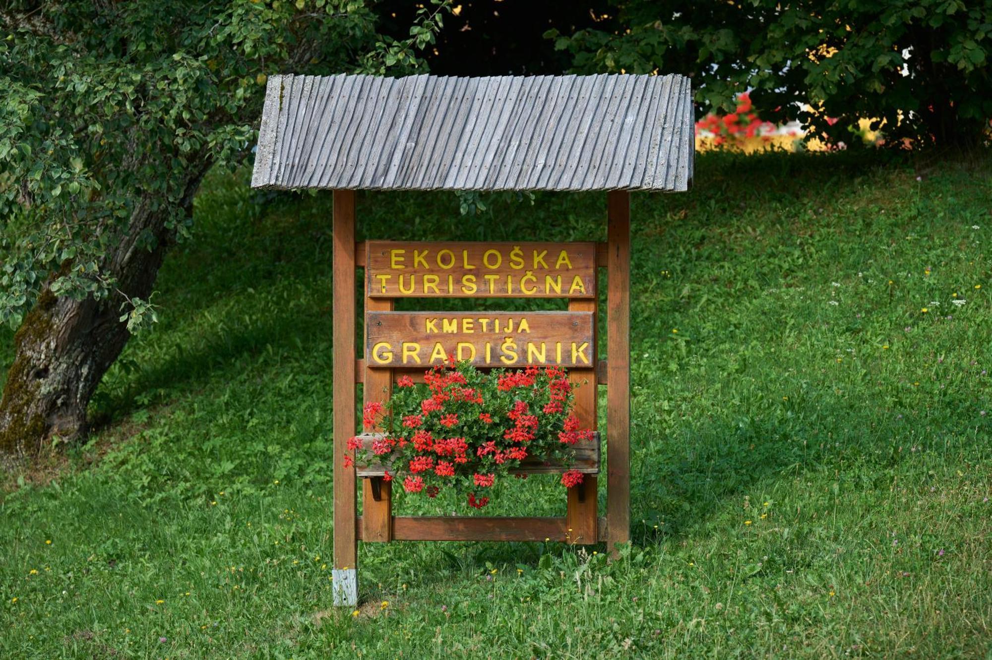 Apartments Organic Tourist Farm Gradisnik Prevalje Экстерьер фото