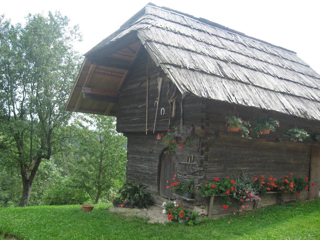 Apartments Organic Tourist Farm Gradisnik Prevalje Экстерьер фото