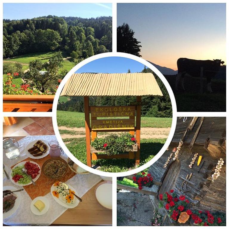Apartments Organic Tourist Farm Gradisnik Prevalje Экстерьер фото