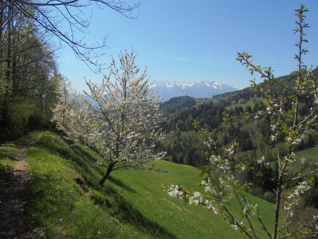 Apartments Organic Tourist Farm Gradisnik Prevalje Экстерьер фото